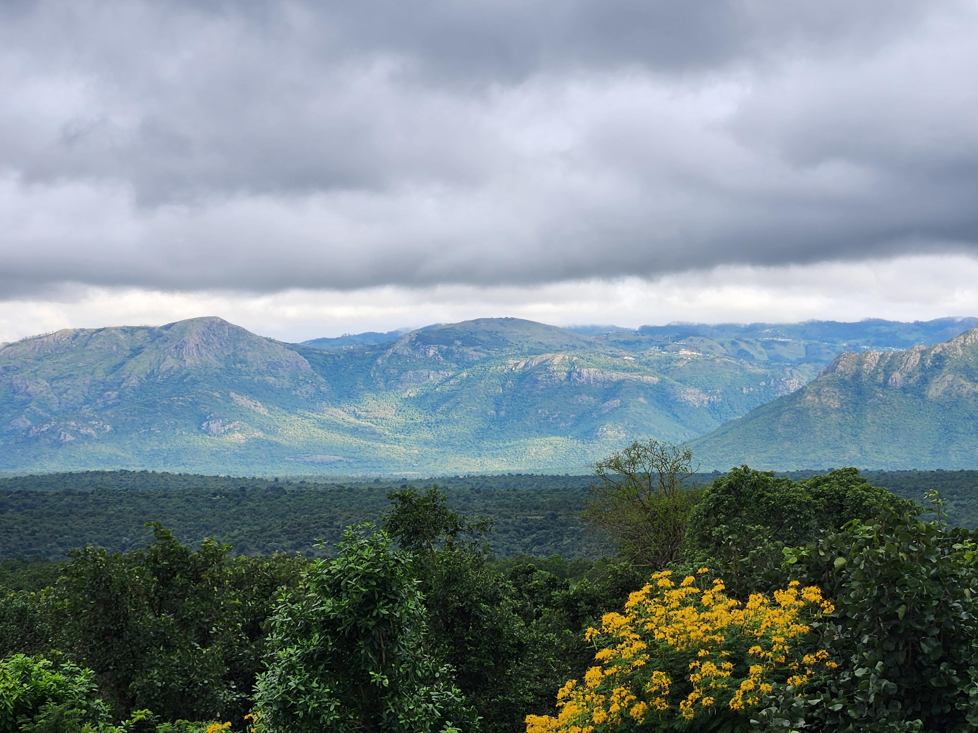 Places To Visit In Ooty: A Local's Guide